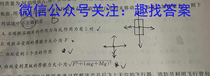 河北省2023-2024学年高二(下)期中考试(24-407B)物理试卷答案