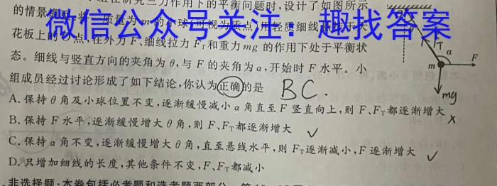 湖南省炎德英才2024年秋季高二年级入学摸底联考测评物理试卷答案