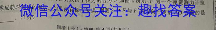 2024年河南省中招考试模拟冲刺卷(三)3物理试题答案