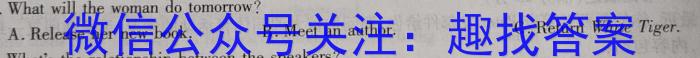环际大联考 “逐梦计划”2023~2024学年度高二第二学期期中考试(H103)英语