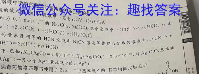 q2023年陕西省九年级模拟检测卷(方框套空心菱形)化学