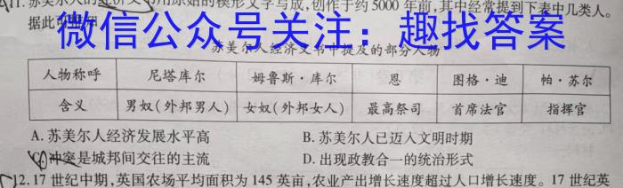 安徽省2024届九年级第一次阶段性诊断检测卷【R-LKZX B AH】历史