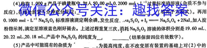 j陕西省2024届九年级收心考试(温泉)化学
