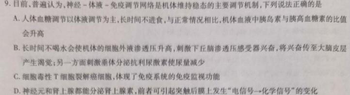 大联考2023-2024学年高中毕业班阶段性测试（一）广东版生物学试题答案