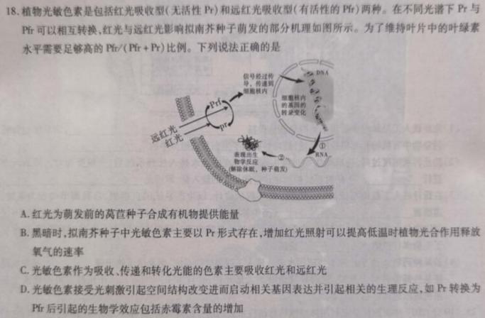 河南省2024届高三阶段性考试生物学试题答案