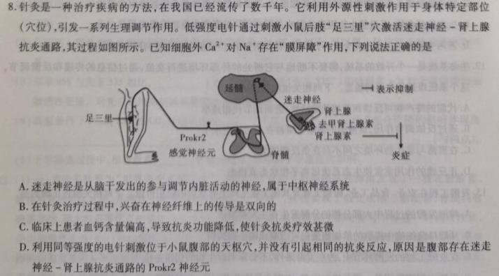 衡水金卷2023-2024学年度上学期高三年级二调考试（新高考版）生物学试题答案