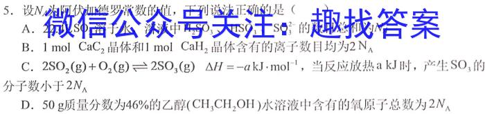 32023-2024学年安徽省九年级教学质量检测（一）化学