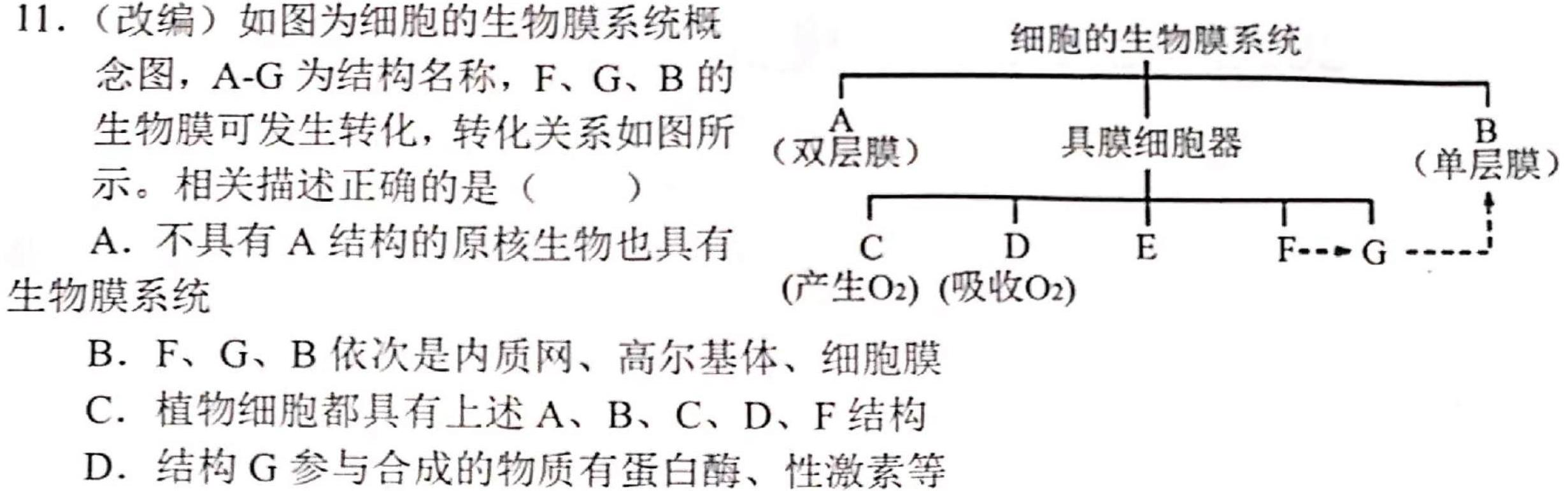 百师联盟2024届高三一轮复习联考(一)江苏卷生物学试题答案