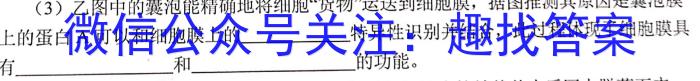 ［山西大联考］山西省2024届高三年级9月联考生物试卷答案