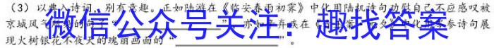 [今日更新]山西省九年级2023-2024学年新课标闯关卷（十）SHX语文