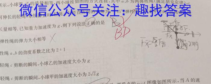 高才博学 河北省2023-2024学年度七年级第一学期素质调研一q物理