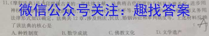 安徽省2024届九年级第一次阶段性诊断检测卷【R-LKZX B AH】历史