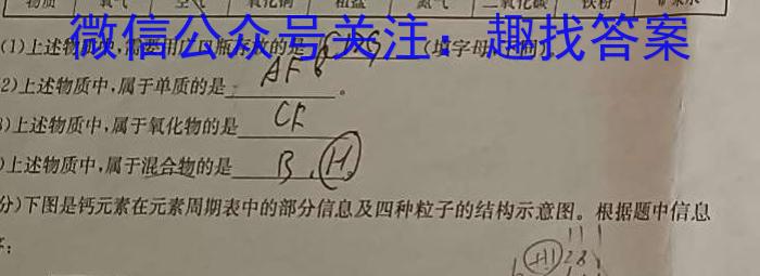 j安徽省2024届高三10月质量检测卷化学