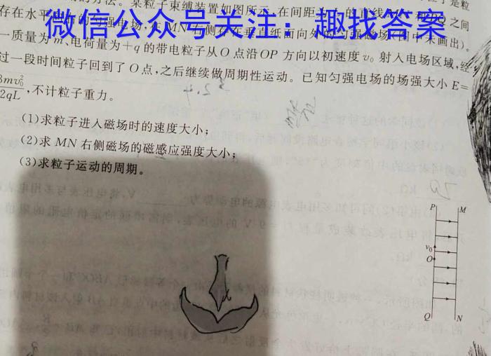 佩佩教育·2024年普通高校招生统一考试湖南10月高三联考卷q物理