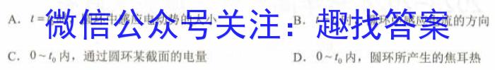 炎德英才大联考湖南省邵阳市2024届高三10月联考l物理