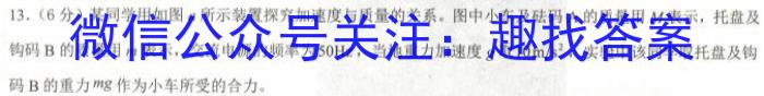 安徽省涡阳县2023-2024学年第一学期八年级第一次月考物理`