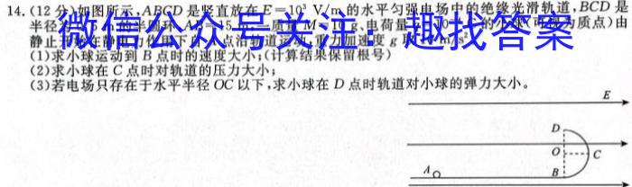 陕西省2024届九年级教学质量检测Al物理