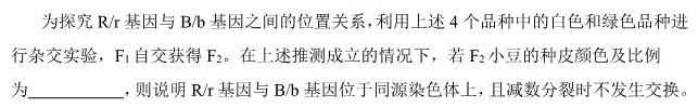 贵州省2024届贵州七校联盟高考实用性联考卷(一)1(白黑白黑黑黑白)生物