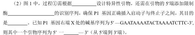 安徽省2024届高三10月质量检测卷生物学试题答案