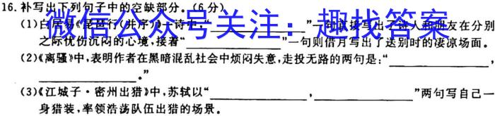 [今日更新]陕西省2024届九年级教学质量检测A语文