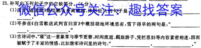 [今日更新]陕西省2023年秋季九年级期中素养测评卷A语文