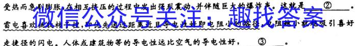 [今日更新]天一大联考2023-2024海南省高考全真模拟卷(2)语文