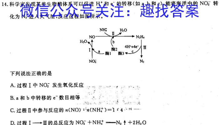 1九师联盟·2023~2024学年高三核心模拟卷(上)(一)新高考S化学