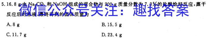 3安徽省2023-2024学年第一学期九年级教学质量检测化学