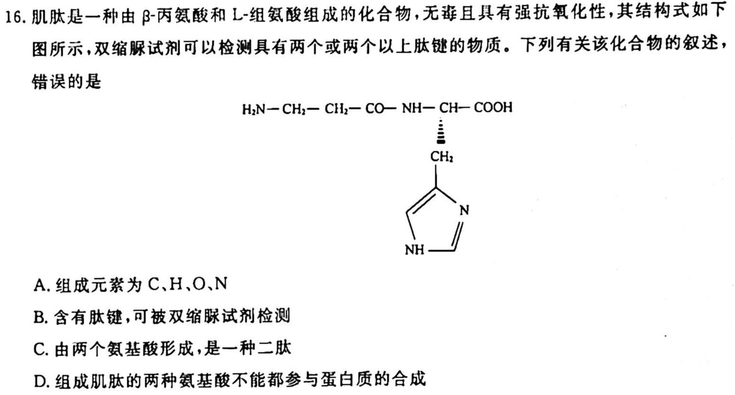 湖南省2024届高三考试9月联考(◇)生物学试题答案