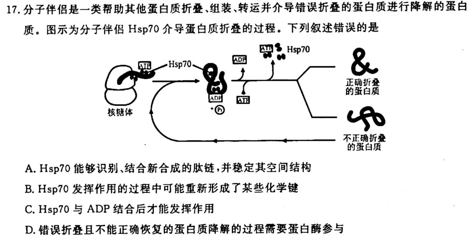［河南大联考］2023-2024年度河南省高三一轮复习阶段性检测（三）生物