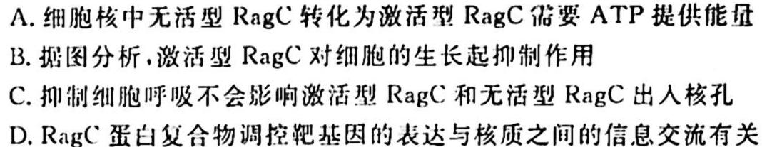 衡中同卷2023-2024上学期高三一调生物学试题答案