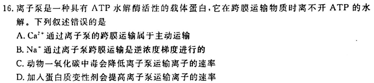 ［河南大联考］2023-2024年度河南省高三一轮复习阶段性检测（三）生物