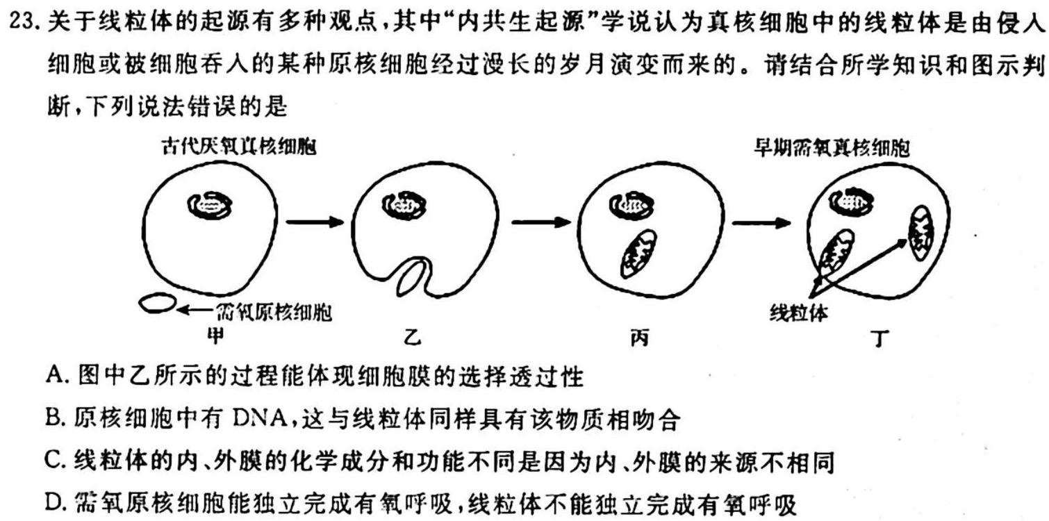 桂柳文化 2024届高考桂柳鸿图模拟金卷(一)生物