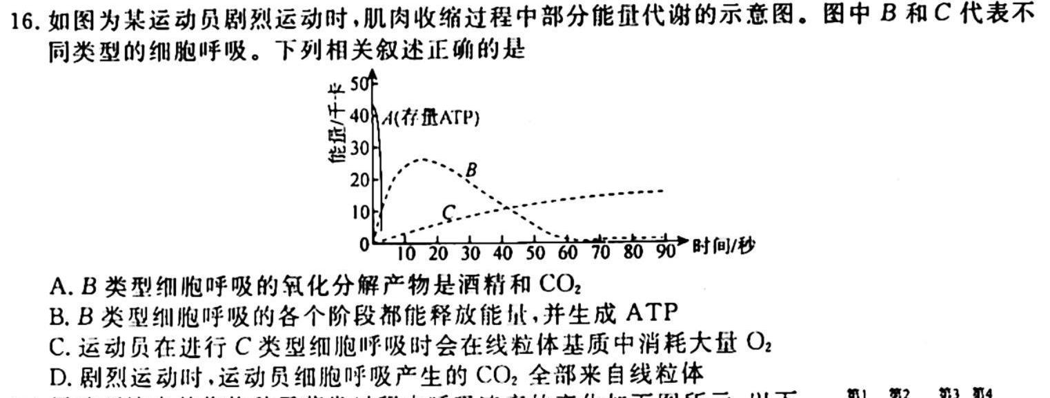 安徽省2023-2024学年度九年级第一次综合性作业设计生物