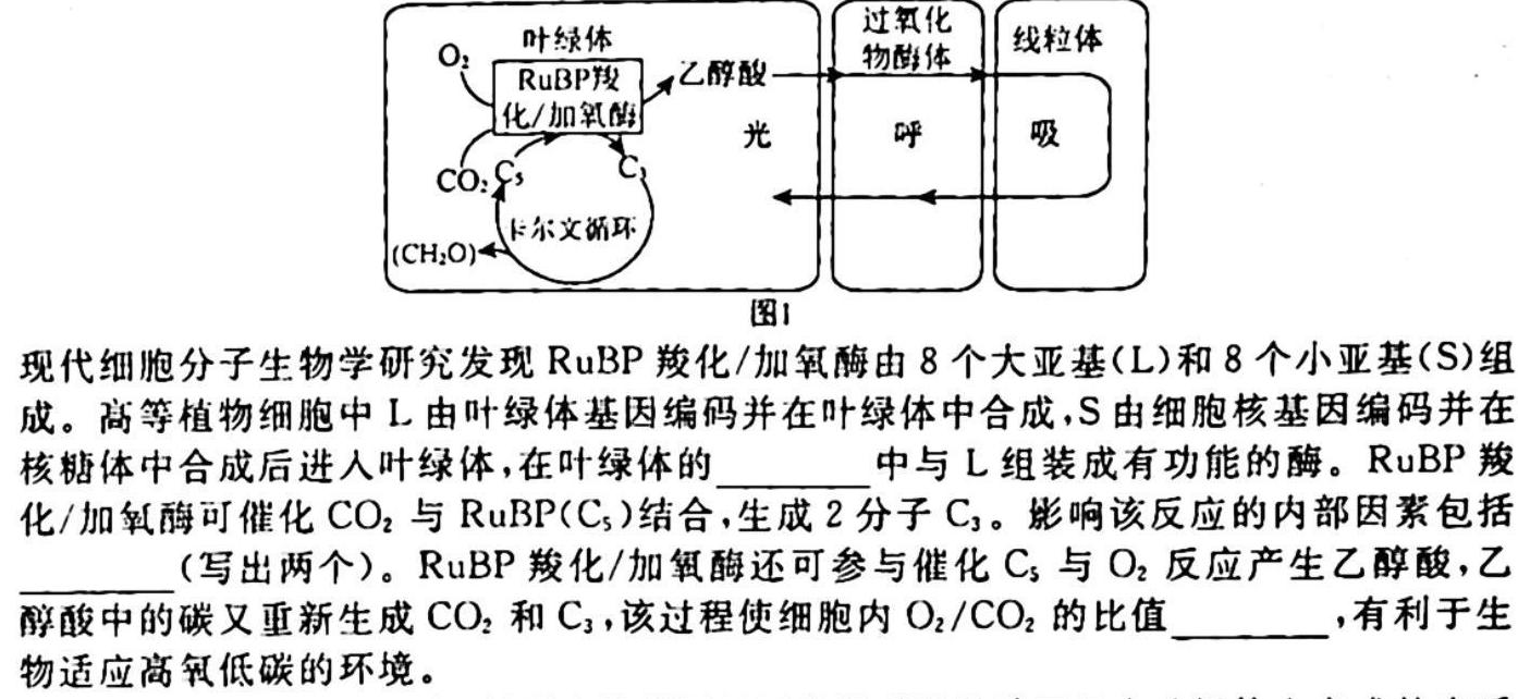 2023-2024学年海南省高考全真模拟卷（一）生物学试题答案