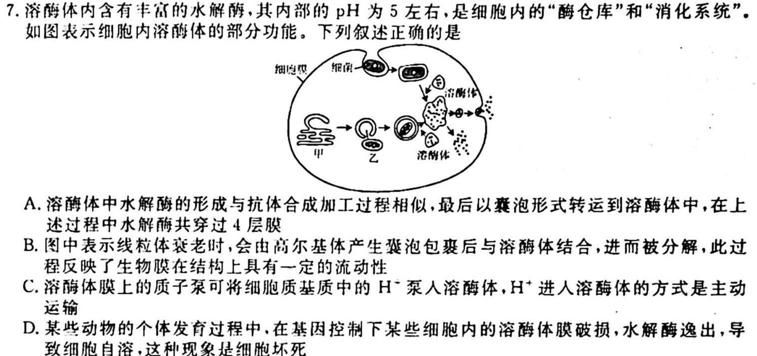 衡水金卷2023-2024学年度上学期高三年级二调考试（新高考版）生物