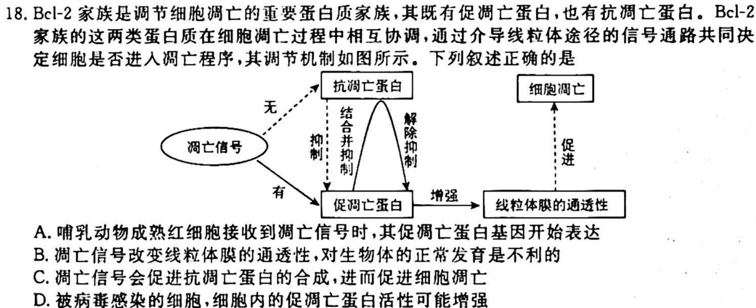 江西省2024届八年级上学期阶段评估1L R-JX(一)生物