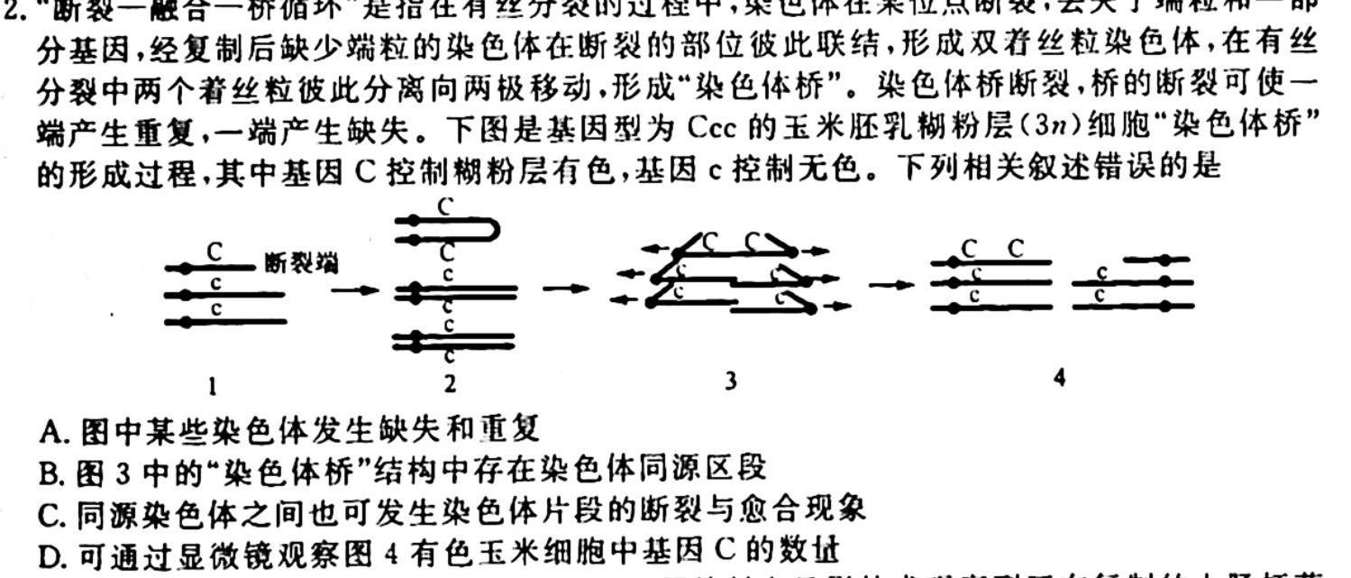 衡中同卷 2023-2024学年度上学期高三年级二调考试生物学试题答案