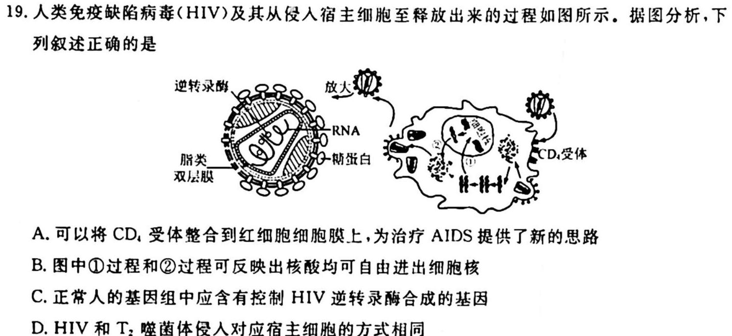 名校交流2024届高三第一次联考生物