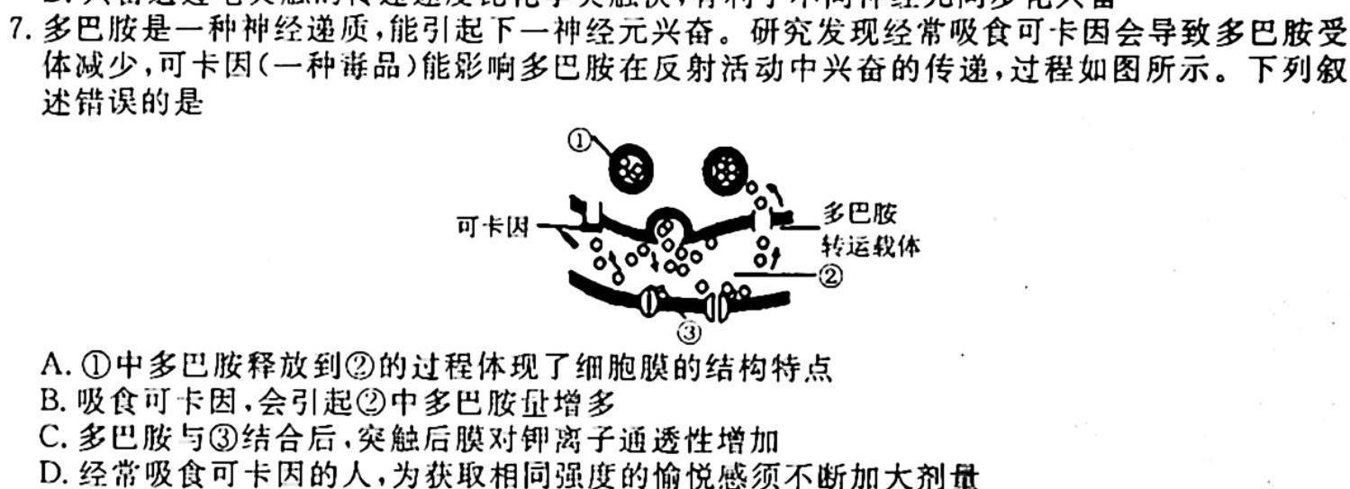 鼎尖教育2024届高三年级10月联考生物学试题答案