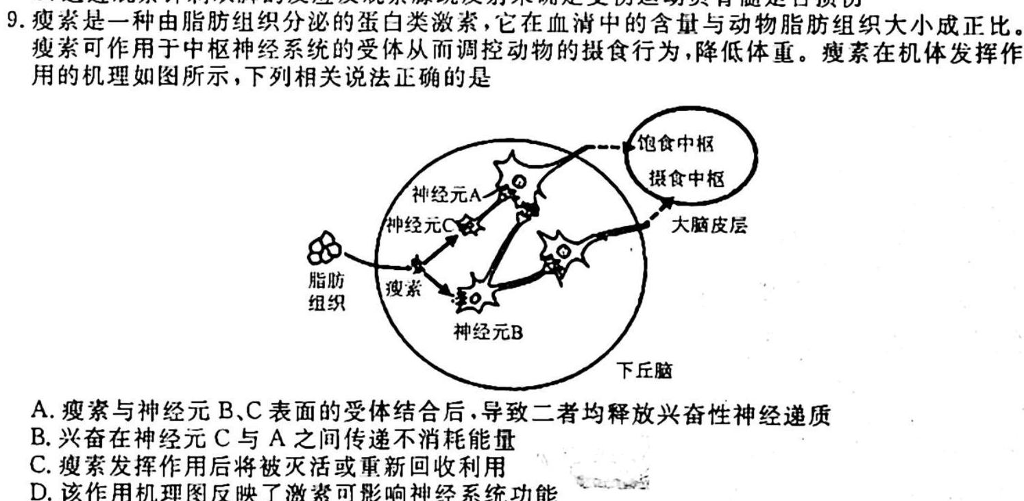 黄冈市教育科学研究院2023年高三9月调研考试生物学试题答案