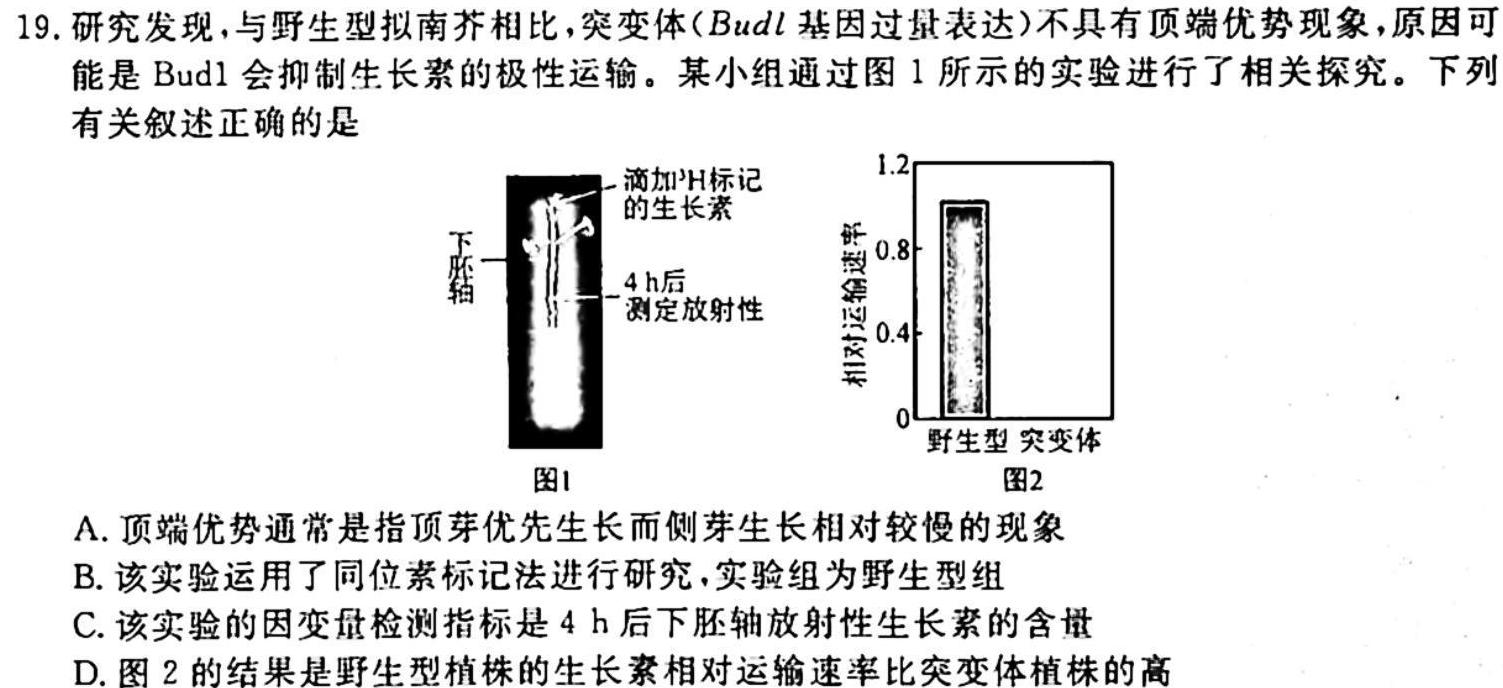 大联考2023-2024学年高中毕业班阶段性测试（一）广东版生物学试题答案