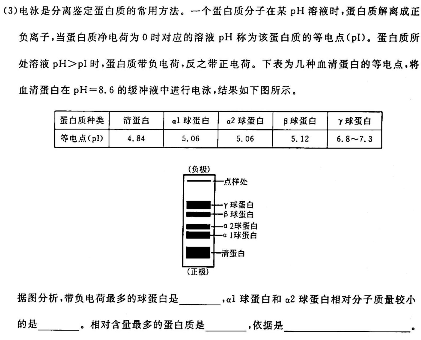 稳派大联考2024届高三年级10月联考生物