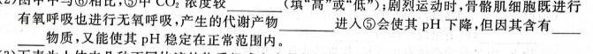 河北省2023~2024学年高三(上)第三次月考(24-53C)生物学试题答案