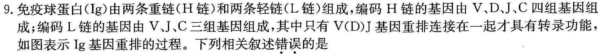 河南省中原名校联考2023-2024学年高二上学期9月联考生物学试题答案