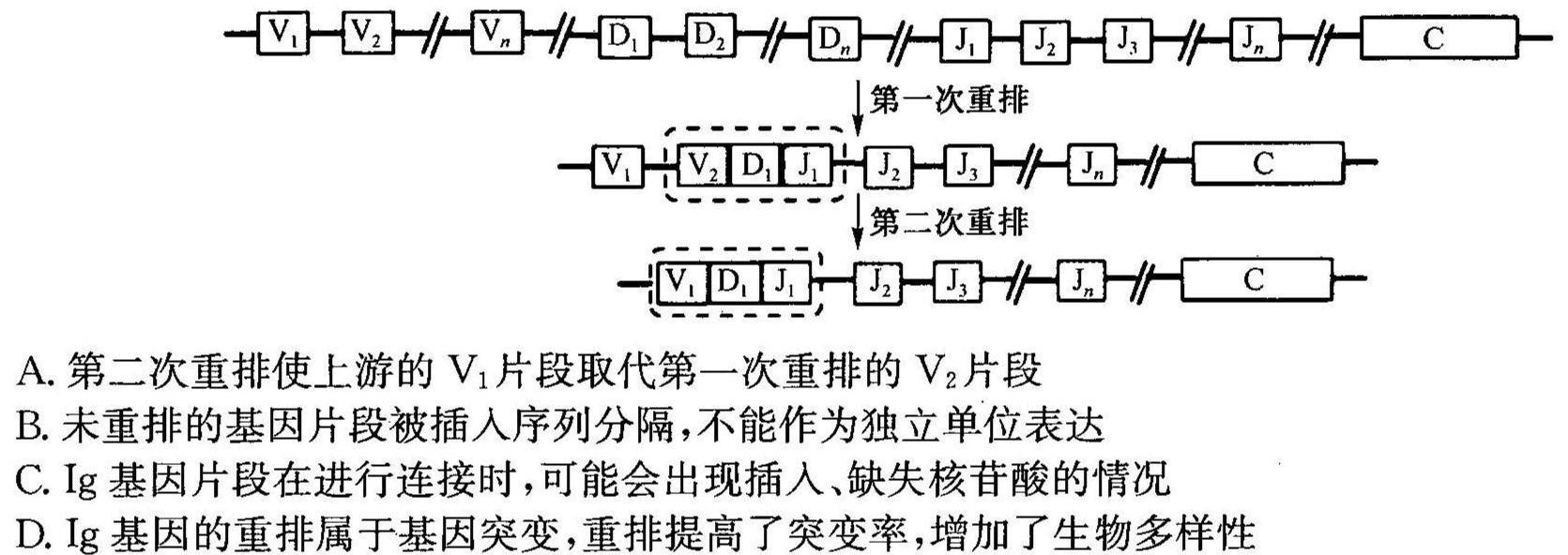 陕西省2024届高三试卷9月联考(标识♪)生物