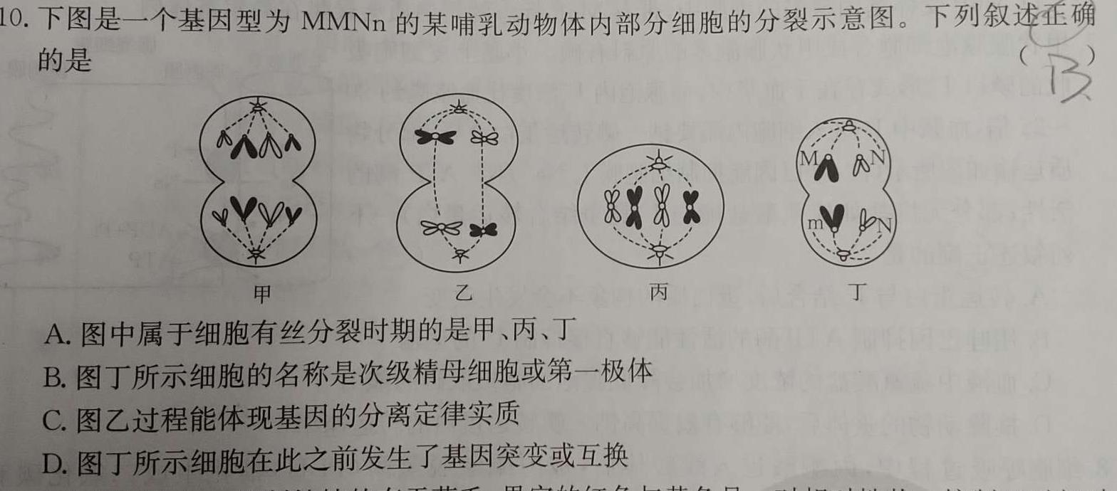 江西省2024届高三名校9月联合测评生物学试题答案