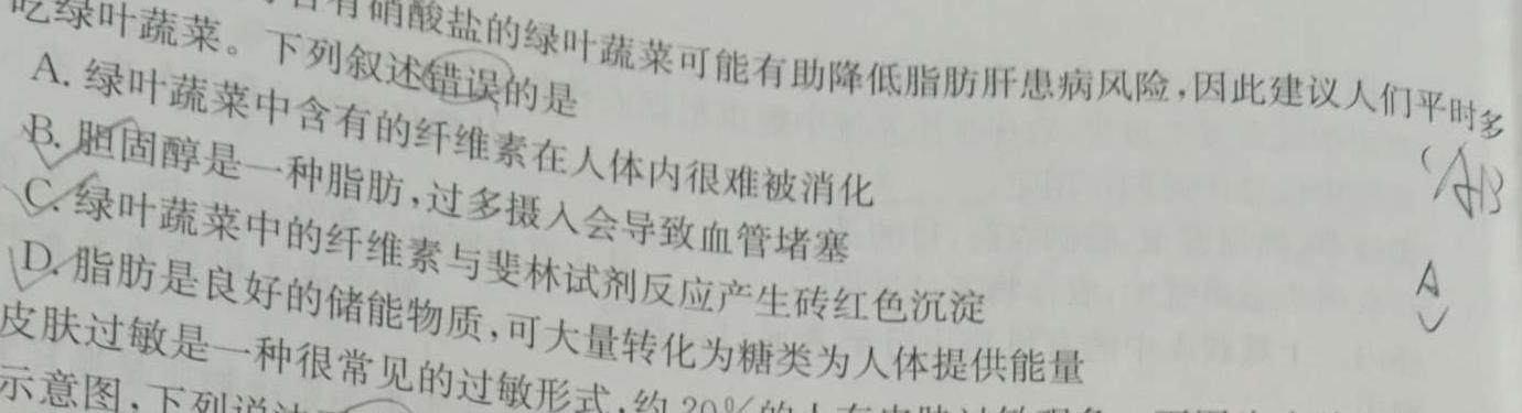 河南省开封市2023-2024学年五县联考高二上学期第一次月考联考卷生物