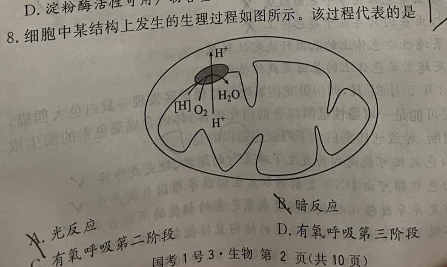 云南省2023-2024学年高二年级9月联考生物学试题答案