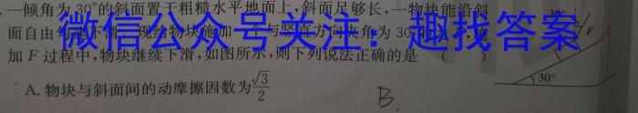 2024届贵州省贵阳一中高考适应性月考(一)(白黑黑黑白白白)q物理